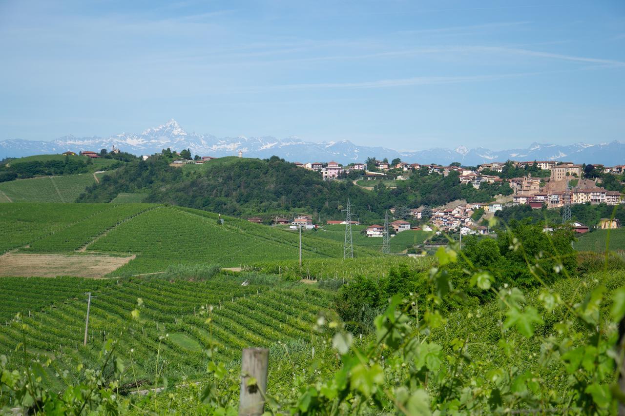 Ca D'I. Bed & Breakfast Magliano Alfieri Exterior photo